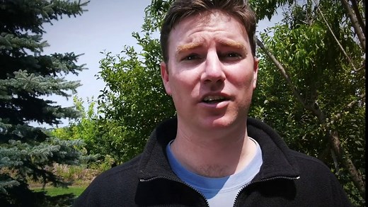 YARDGARD 308475B 3 Foot x 50 Foot 2" Mesh Poultry Netting