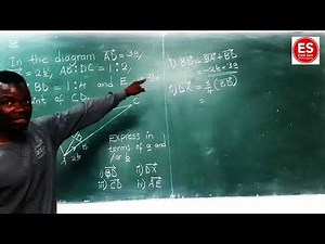 Vectors Made Easy | Direction & Applications Explained