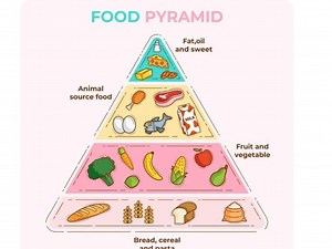 Classes of food pyramid