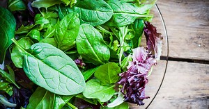 Can you eat pre-packed salad when pregnant? - Netmums