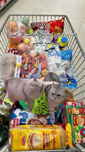 ‏🤣🤣🤣#الكاشير #أغراض_المطبخ #المول #اكسبلور #ترند