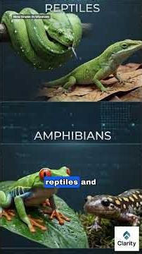 New Snake Discovered : Mizoram : UPSC Current Affairs UPSC 2027