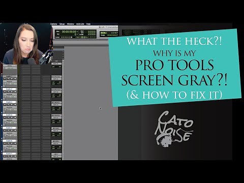 Pro Tools Basics: What to do when half your Pro Tools Edit Window is Gray