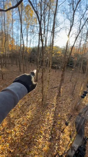 29K views · 212 reactions | Didn’t like the first spot I setup at. I was about 25ft in the air but had two small shooting windows. So I got down and move 60ish yards down. I found an awesome trail leading to these pines. I’m setup maybe 8ft at the most in the air now. Gonna hunt low and see what happens. | Norman Hutchins | Facebook