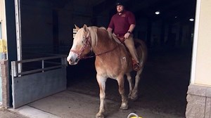 U of M student forms friendship with special horse