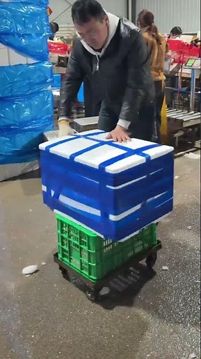 Fast Cold Storage Packing & Transport | Efficient Ice Box Handling in Seafood Facility