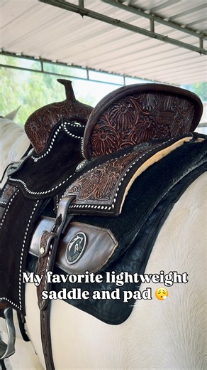 I’ve had the opportunity to try a decent amount of lightweight saddles and different pads throughout the years and I can say confidently after almost a year with @tackticalbrand lightweights and over 2 years with @totalsaddlefit squish pads that this duo is amazing for me and my horses! If you plan to order anything from tacktical don’t forget to use my code “1dperf” to save 🩷 | 1D Performance Horses