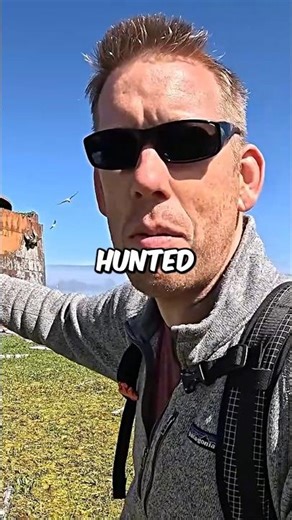 Exploring WW2 Ship Beached to Escape Torpedo