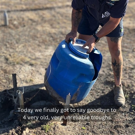 Today we finally got to say goodbye to 4 very old, unreliable drinking troughs! When I moved Gunyah here over a decade ago, the place was full of very dodgy, unreliable troughs. Over the years we've been gradually replacing them with new, bigger, reliable ones. Due to their cost and funding always being needed elsewhere, I've only been able to replace one or two a year at best. With things being pretty tight here since COVID, the last 4 old temperamental troughs still remain, and they've been be
