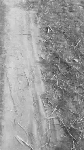 Maine Ek Bar Nahin Bar Bar Dekha #funny#fyee #dance 💃👫💫🥀💔