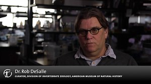 Week Five Introduction