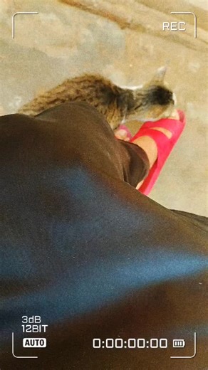 princess Amber (@princissamber626)’s videos with original sound - princess Amber