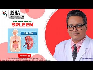 SPLEEN- THE UNTOLD STORY