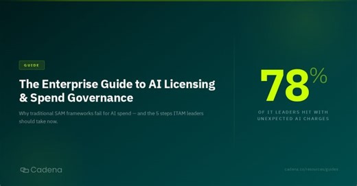 AI Licensing Challenges for IT Leaders: A Guide to Conquering Unexpected Charges | Cadena Co. posted on the topic | LinkedIn