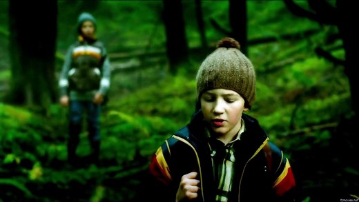 Into the Grizzly Maze (2015)