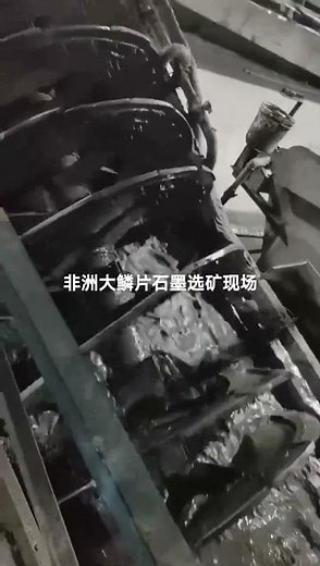 Complete Graphite Flotation Processing Plant Equipment In Africa