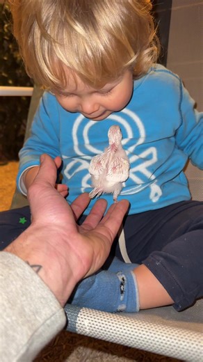 Première rencontre entre Marin et Eira