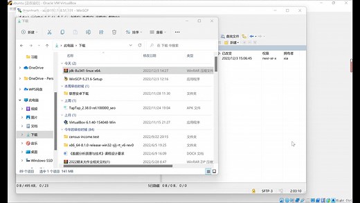linux（ubuntu）系统下安装jdk并配置环境