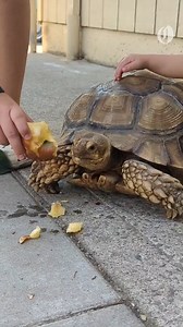 120K views · 1.4K reactions | Sprague said her family returned from a...