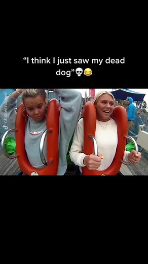 Hilarious Roller Coaster Reactions Compilation