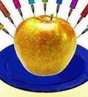 Los aditivos en los alimentos