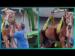 Top 35 Random Acts of Kindness That Will Make You Cry 🥺 | Faith In Humanity Restored 😭