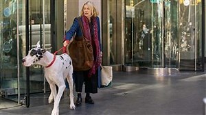 THE FRIEND Trailer | Movie Trailers and Videos