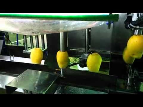 Automatical mango peeling machine