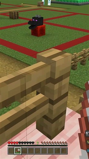 How to Carve a Pumpkin!