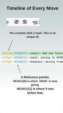 Lost a Git Commit? Reflog Has Your Back