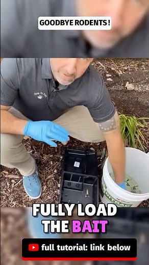 GOODBYE Rodents 🐀 Guaranteed Rat & Mouse Fix #ratcontrol #micecontrol #pestcontrol #diy #shorts