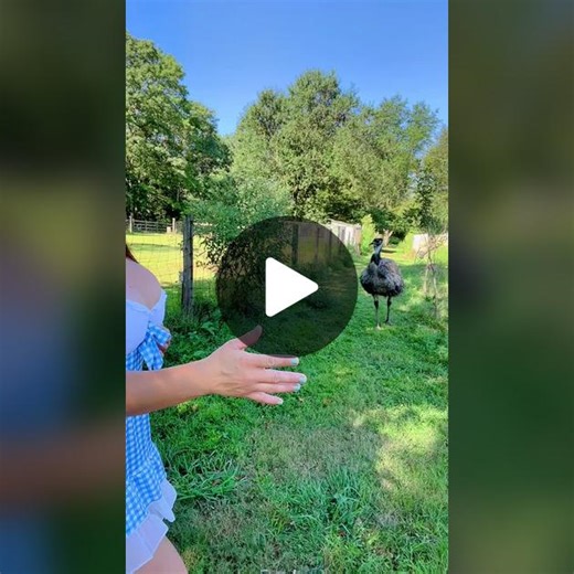 Mandygonewild on TikTok
