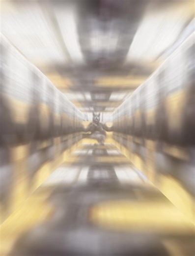 Cat slapping himself #catslappinghimself #aicat #cat #fyp #fy