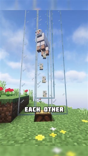 Turtle egg timer in Minecraft #shorts