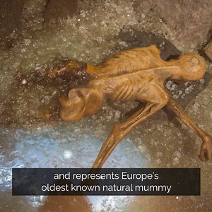 259 reactions · 40 shares | This is your chance to find the ancient DNA samples you are connected to! 溺 Could you be related to Otzi the Iceman? ✔️ Compare your DNA to thousands of ancient samples from real archaeological sites. ✔️ View your ancestral timelines & maps ✔️ Compatible with DNA tests (including MyHeritage, Ancestry, LivingDNA, or any other DNA testing company). Do more with your results!  Try our basic analysis for FREE! | Mytrueancestry | Facebook