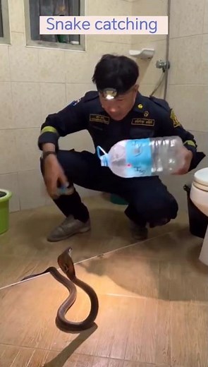 How Did He Trap That Snake So Fast? #snake