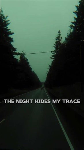 Take Me Away… This city feels too narrow for me 🌙