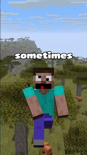 The Best FPS Optimisation Mod For Minecraft (200+FPS)