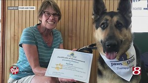 The keys to training (and retraining) a good therapy dog