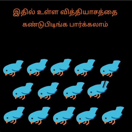 கண்டுபிடிங்க பார்க்கலாம்...