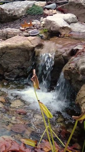Turning an Old Pond into a Pondless Stream