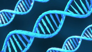 Blue helix spiral human DNA molecules structure, abstract background. Concept of medical science, genetic code, biotechnology. 3d animation in 4k
