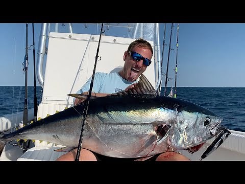New Jersey Bluefin Tuna on Top Water and Jigging set up