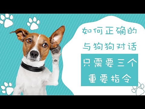 如何正确的与狗狗对话，三个重要指令让你可以与狗狗对话