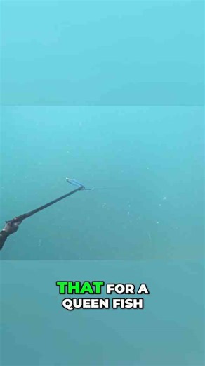 Lobster Hunt: Epic Adventure on the Great Barrier Reef!