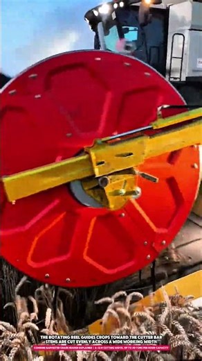 Combine Harvester Grain Header Explained | 6–12 m Cutting Width, Up to 40 Tons per Hour Capacity