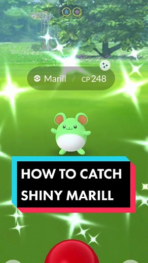 How to Catch Shiny Marill in Pokemon Go