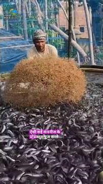 Fish Farming Business in India | Fish feed, Fish Seed, Fish Medicine Company role in fish farming