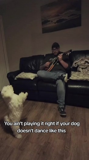 Discover Your Dog's Favorite Song with Fun Dance Moves