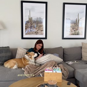 Flea & tick meds? Skip the trip—Chewy Pharmacy delivers to your door. | Chewy